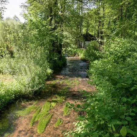 Wellness Escape In Bellevaux, Cleaning Included Tatil Evi Malmedy